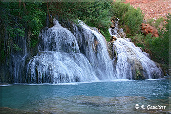 Navajo Fall